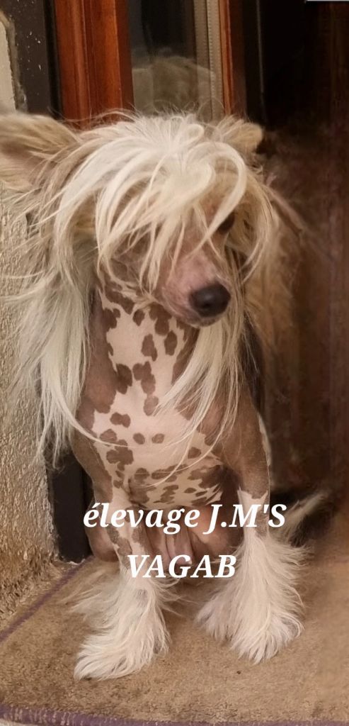 Ursula J M's Vagab